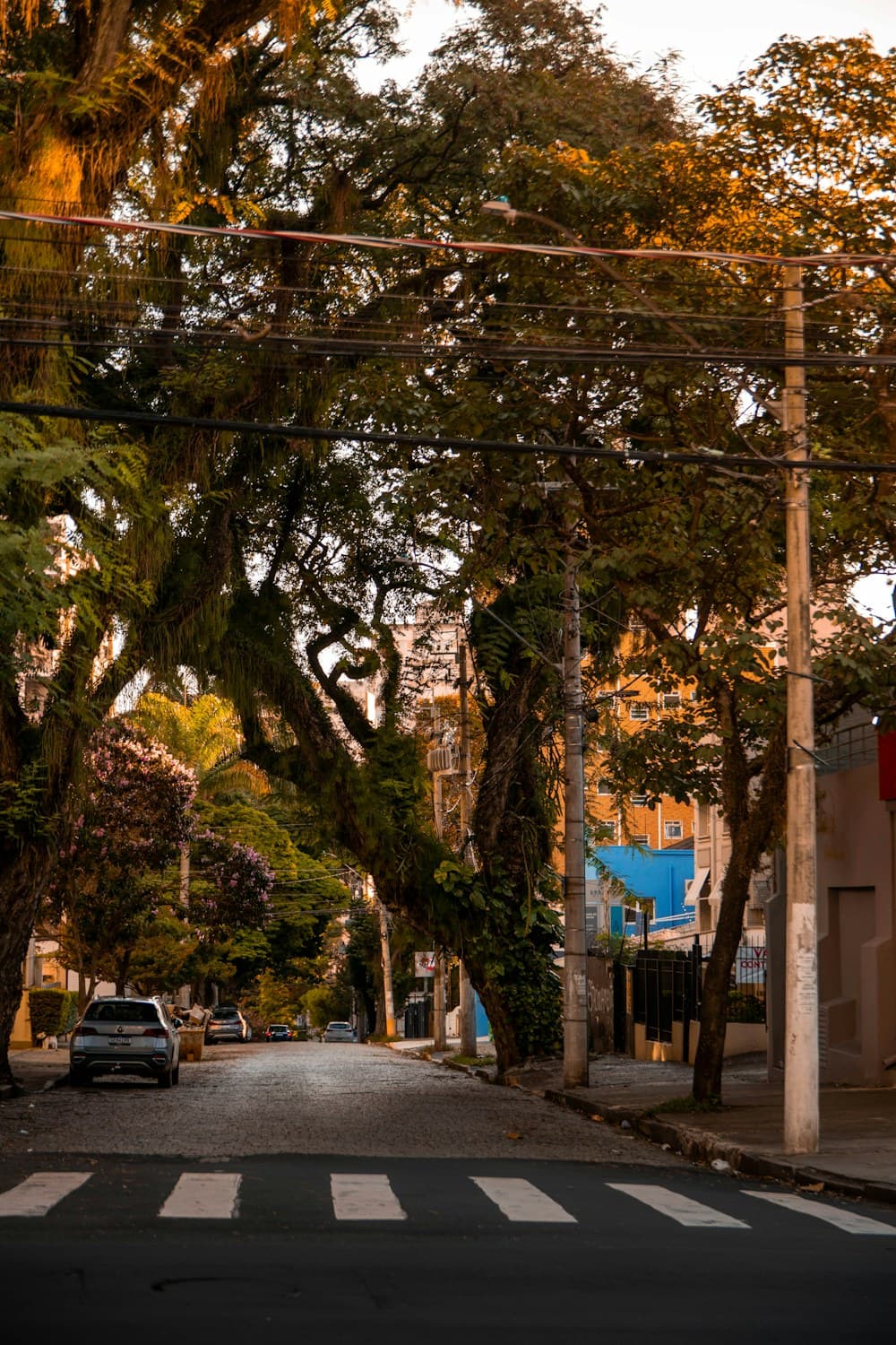 Confira as mudanças temporárias no trânsito do centro
